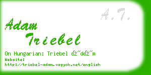 adam triebel business card